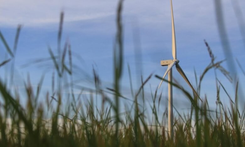 smart growth digital solutions